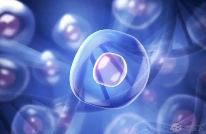 试管婴儿胚胎生化是什么意思-做试管婴儿是移植新鲜胚胎好还是冷冻胚胎或囊胚好，哪种方法的成活率更高？(图1)
