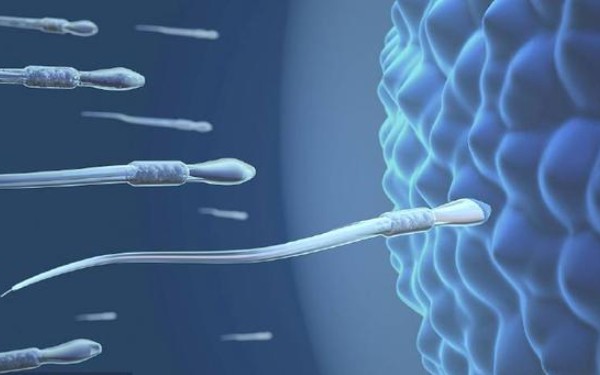 南宁单身供卵试管助孕：人工授精和试管婴儿的区别以及如何决定。(图2)