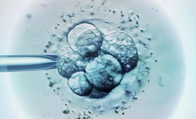 东莞供卵助孕流程-贫血对试管婴儿胚胎受精的影响，可能导致受精失败。(图1)