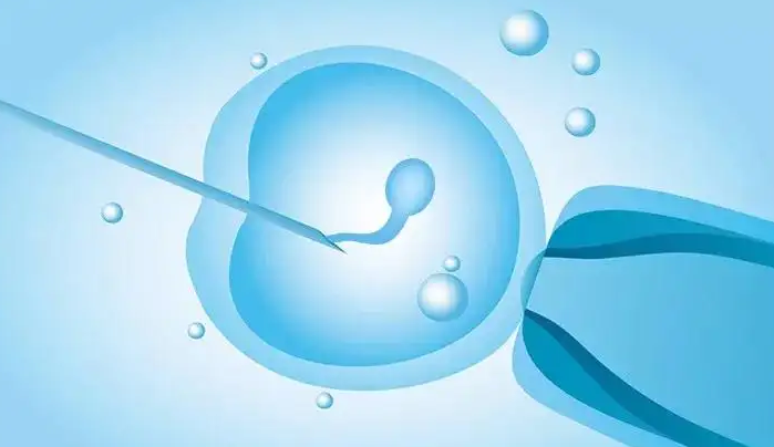 金华借卵试管助孕：在试管婴儿降级治疗期间，夫妻可以进行性生活吗？(图1)