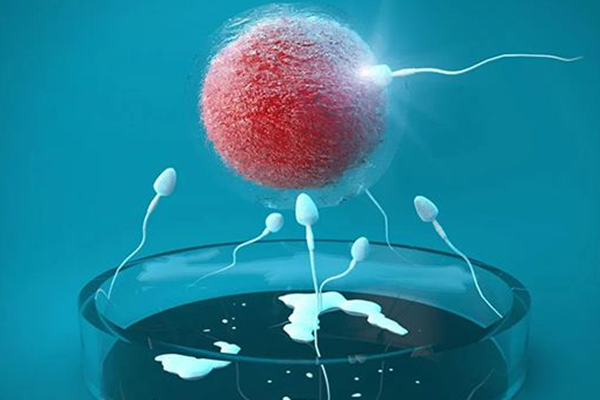 湛江54岁助孕宝宝-移植失败后的胚胎是如何排出的？专家：可以随血排出。(图1)