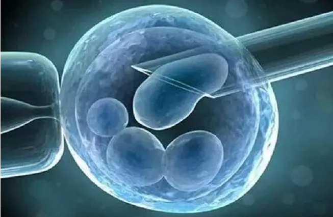 遵义供卵试管费用明细-囊胚养育的时间越长，囊胚的质量就越好。(图1)