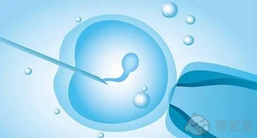 聊城可以做供体精子和卵子的试管婴儿吗？在聊城可以做几种试管婴儿？