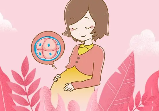 保定哪里能做助孕宝宝-在怀孕前期，是否可以通过改变体型来确定宝宝的性别？我怎么做才能生个女孩？(图1)