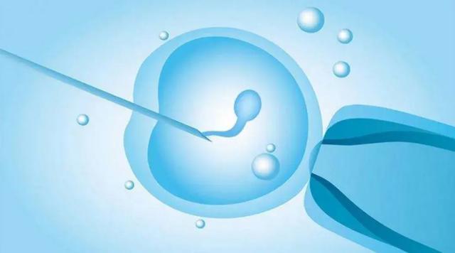 东营助孕机构高端机构-如何在试管婴儿移植前调节你的身体以提高成功率。(图1)