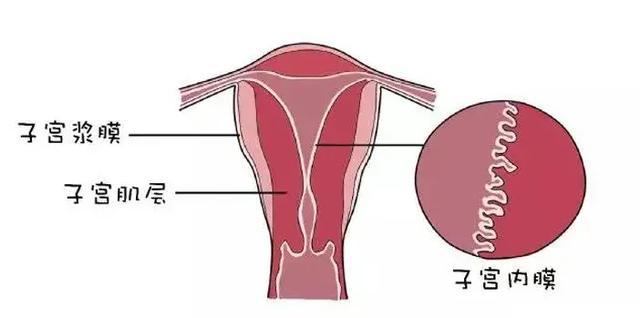 东营助孕机构高端机构-如何在试管婴儿移植前调节你的身体以提高成功率。(图3)