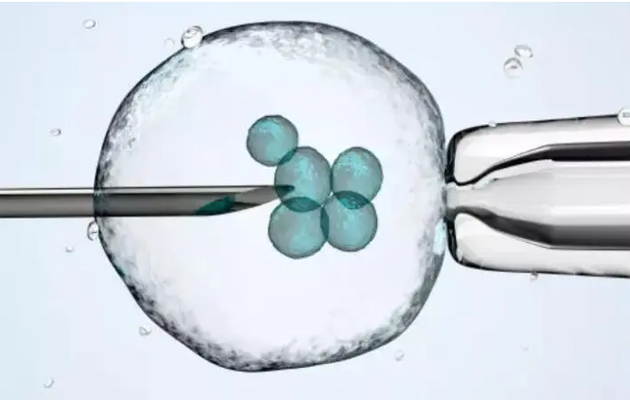 东营供卵助孕双胞胎-移植新鲜胚胎可以生双胞胎，而且成功率也不低(图1)